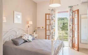 Nikos & Vivi Studios